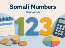 Paper-cut illustration of numbers 1, 2 and 3 beside a calendar, keypad, coins and a circle divided into quarters.